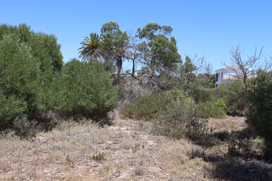 0 Bedroom Property for Sale in Shelley Point Western Cape